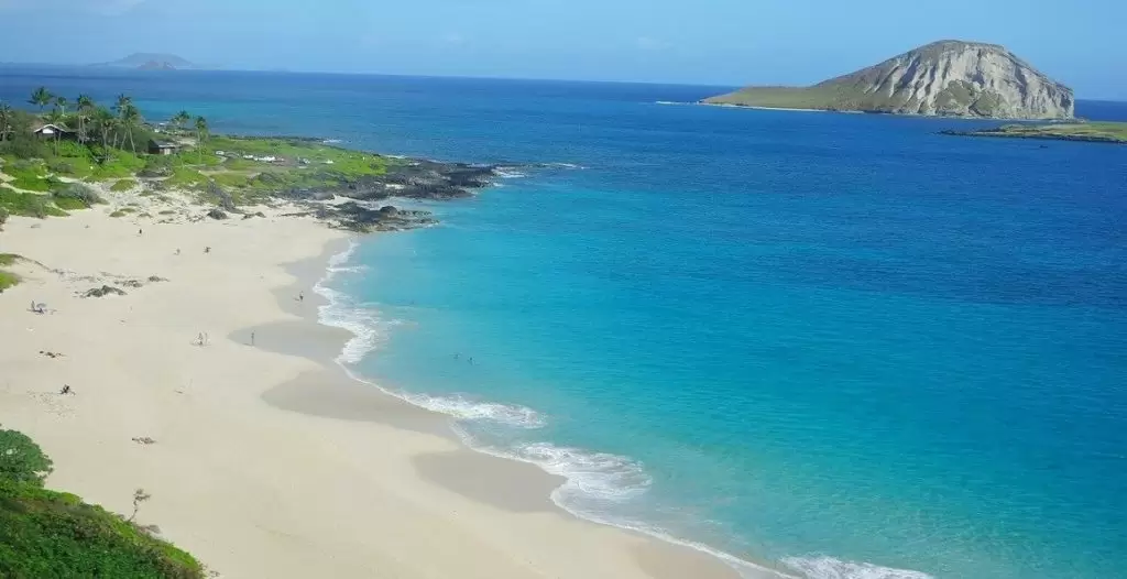 aprender a tocar el ukelele online