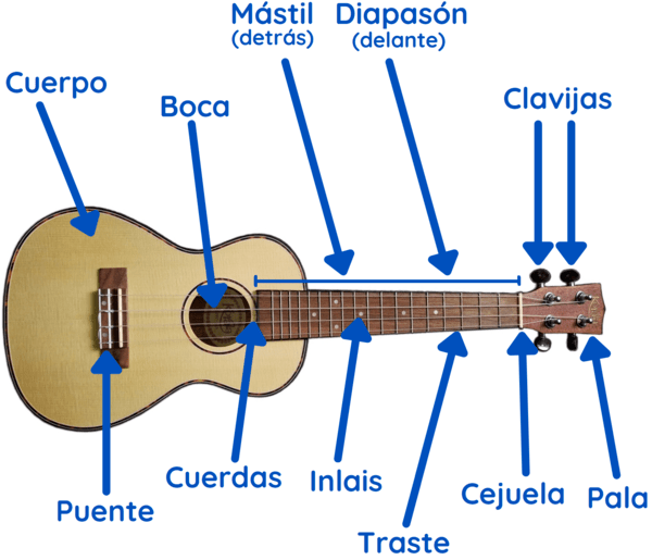 partes del ukelele instrumento musical