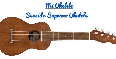 comprar seaside soprano ukulele